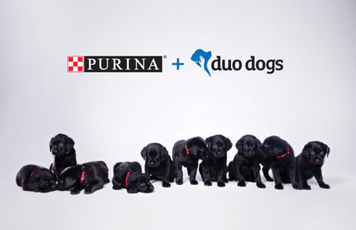 Purina sponsored litter of 10 puppies