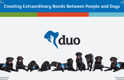 The Duo Dogs logo and ten assistance dogs in training