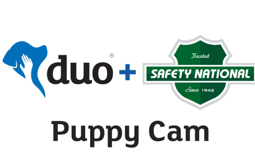 Duo Dogs blue logo next to Safety National green logo with plus sign between. Puppy cam listed below in black.