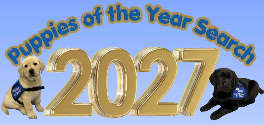 image of a yellow and black labrador puppy wearing a blue Duo service dog in training vest next to gold text that reads "2027 Puppies of the Year Search"