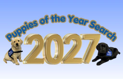 image of a yellow and black labrador puppy wearing a blue Duo service dog in training vest next to gold text that reads "2027 Puppies of the Year Search"